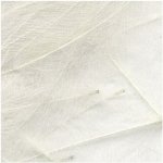 Petitjean CDC Peří Packs White 1 g – Hledejceny.cz
