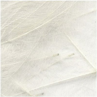 Petitjean CDC Peří Packs White 1 g – Hledejceny.cz