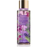 Victoria's Secret Blackberry Bite tělový sprej 250 ml – Zboží Dáma