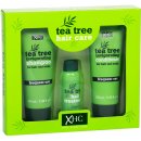 Xpel Tea Tree šampon 100 ml + kondicioner 100 ml + sérum na vlasy 30 ml dárková sada