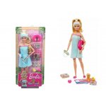 Barbie Wellness blondýnka – Hledejceny.cz