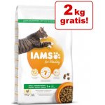 Iams for Vitality Cat Adult Indoor Chicken 10 kg – Zboží Dáma