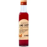 Natural Jihlava Ume Ocet 250ml – Hledejceny.cz
