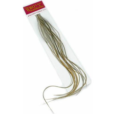 Whiting Hackles Whiting Kohoutí Peří 100 Pk Golden Badger #12 – Hledejceny.cz