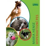 Židovský snář - Markéta Holubová – Sleviste.cz