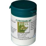 Jukl FYROSAN AP 100 tablet – Hledejceny.cz