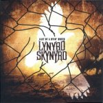 Lynyrd Skynyrd Last Of Dyin' Breed LP – Hledejceny.cz
