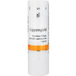 Dr. Hauschka Pěstící tyčinka na rty (Lip Care Stick) 4,9 g – Zboží Dáma