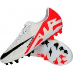 Nike ZOOM VAPOR 15 ACADEMY AG dj5630-600 – Hledejceny.cz