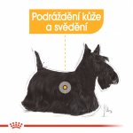 Royal Canin Mini Dermacomfort 1 kg – Hledejceny.cz