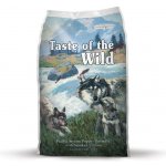 Taste of The Wild Pacific Stream Puppy 6 kg – Zbozi.Blesk.cz