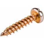 Shumee Šroub M6x30 GOLDEN SPRINT 4758 6.0x30 3195910 /200ks/ – Hledejceny.cz
