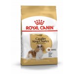 Royal Canin Cavalier King Charles Adult 0,5 kg – Hledejceny.cz