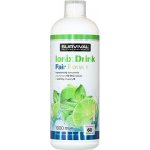 Survival Ionix Drink Fair Power® Hypotonický Nápoj mojito| 1000 ml – Hledejceny.cz