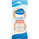 Spontex calypso make-up houba na demak 2ks 20206 – Sleviste.cz