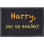 Mercury Flooring Rohožka Harry jdu do baráku Černá 40x60 cm – Sleviste.cz
