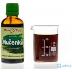 Bylinné kapky Mučenka pletní nať tinktura 50 ml – Hledejceny.cz