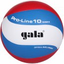 Volejbalový míč Gala Pro Line 10 BV 5581 S