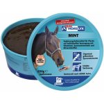 HORSLYX Liz pro koně Mint 0,65 kg – Hledejceny.cz