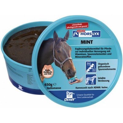 HORSLYX Liz pro koně Mint 0,65 kg – Hledejceny.cz