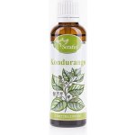 Serafin tinktura z bylin Kondurango Condurango 50 ml – Hledejceny.cz