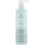Paul Mitchell Awapuchi Wild Ginger Keratin Intensive Treatment 500 ml – Hledejceny.cz