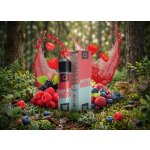 Infamous Liqonic Juicy Red Fruits 10 ml – Zbozi.Blesk.cz