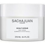 Oribe Serene Scalp Exfoliating 125 ml – Zboží Dáma