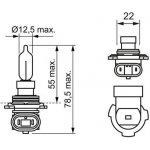 Bosch 1987302026 HIR2 PX22d 12V 55W – Hledejceny.cz