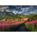 Dino Gaseinicovo údolí 1000 dílků – Zboží Dáma