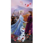 JERRY FABRICS Osuška Ledové Království 2 Wind 70x140 cm – Zboží Dáma