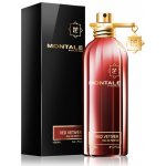 Montale Red Vetiver parfémovaná voda pánská 100 ml – Hledejceny.cz