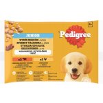 Pedigree Junior v želé kuřecí rýže a hovězí rýže 4 x 100 g – Sleviste.cz