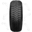 Osobní pneumatika Sebring Formula Snow+ 601 215/55 R16 97H