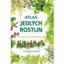 Kniha Atlas jedlých rostlin - Aleksandra Halarewicz