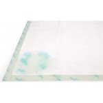 Asan Puppy Field Training pleny pro zvířata 60 x 60 cm 9 ks – Sleviste.cz