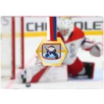 Akrylátová medaile Brankář Zlatá – Sleviste.cz