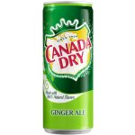 Canada Dry Ginger Ale PL 330 ml – Zboží Dáma