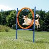Výcvik psů Trixie Agility proskakovací kruh / 78 x 115 cm