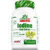 Vitamín a minerál Amix GreenDay® ProVegan Iodine 90 kapslí