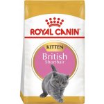 Royal Canin British Shorthair Kitten drůbeží 10 kg – Zboží Mobilmania