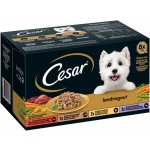 Cesar Adult Landragout 4 příchutě 8 x 150 g – Hledejceny.cz