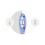 Philips Sonicare Premium Gum Care HX9056/87 6 ks – Hledejceny.cz