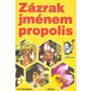 Kniha Minedžajan G. Z.: Zázrak jménem propolis