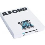 Ilford Delta 100 4x5" /100 – Hledejceny.cz