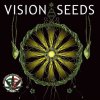 Semena konopí Vision Seeds White Widow AutoFem semena neobsahují THC 3 ks