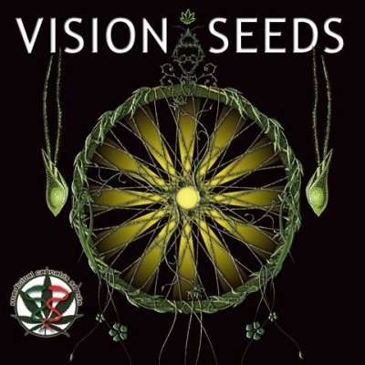 Vision Seeds Ak-49 semena neobsahují TH 5 ks