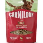 VAFO Praha s.r.o. CARNILOVE Dog SOFT Snack Quail enriched with Oregano 200 g – Hledejceny.cz