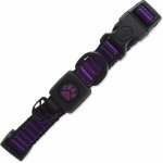 Active Dog Obojek Strong – Zboží Dáma