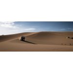 Forza Horizon 5 (Premium Edition) – Zboží Dáma